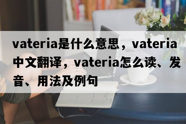 Vateria是什么意思，Vateria中文翻譯，Vateria怎么讀、發(fā)音、用法及例句