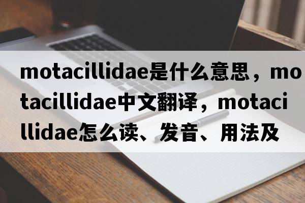 Motacillidae是什么意思，Motacillidae中文翻譯，Motacillidae怎么讀、發(fā)音、用法及例句