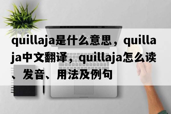 quillaja是什么意思，quillaja中文翻譯，quillaja怎么讀、發(fā)音、用法及例句