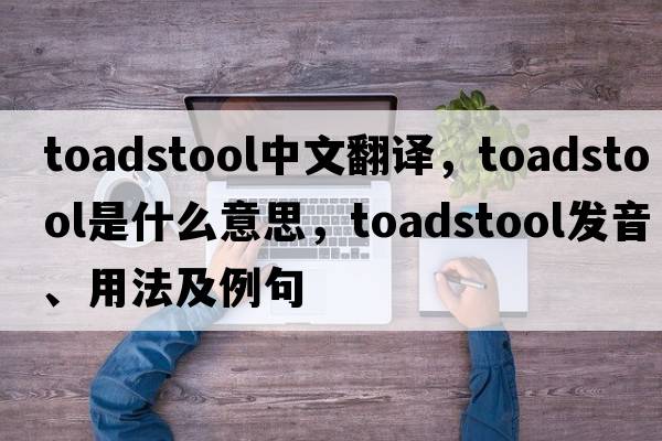 toadstool中文翻譯，toadstool是什么意思，toadstool發(fā)音、用法及例句