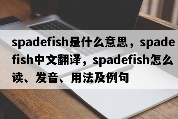 spadefish是什么意思，spadefish中文翻譯，spadefish怎么讀、發(fā)音、用法及例句