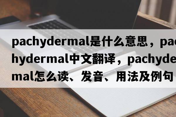 pachydermal是什么意思，pachydermal中文翻譯，pachydermal怎么讀、發(fā)音、用法及例句