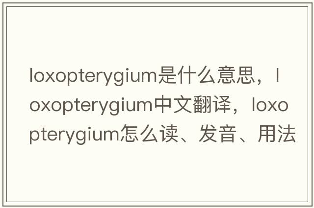 Loxopterygium是什么意思，Loxopterygium中文翻譯，Loxopterygium怎么讀、發(fā)音、用法及例句