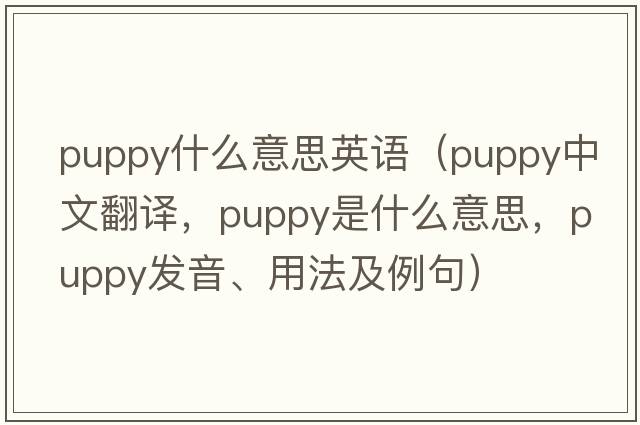 puppy什么意思英語（puppy中文翻譯，puppy是什么意思，puppy發(fā)音、用法及例句）