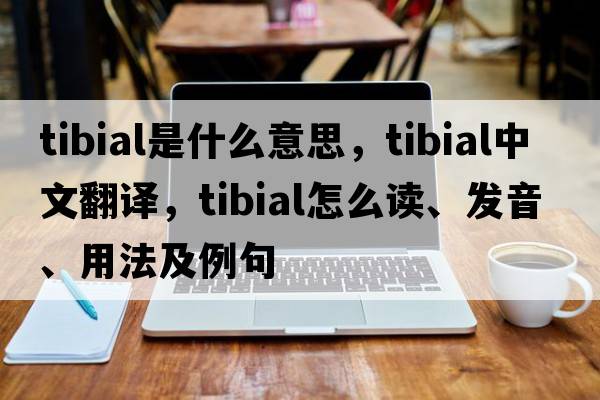 tibial是什么意思，tibial中文翻譯，tibial怎么讀、發(fā)音、用法及例句