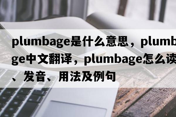plumbage是什么意思，plumbage中文翻譯，plumbage怎么讀、發(fā)音、用法及例句