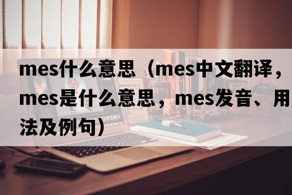 mes什么意思（mes中文翻譯，mes是什么意思，mes發(fā)音、用法及例句）