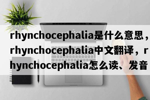 rhynchocephalia是什么意思，rhynchocephalia中文翻譯，rhynchocephalia怎么讀、發(fā)音、用法及例句