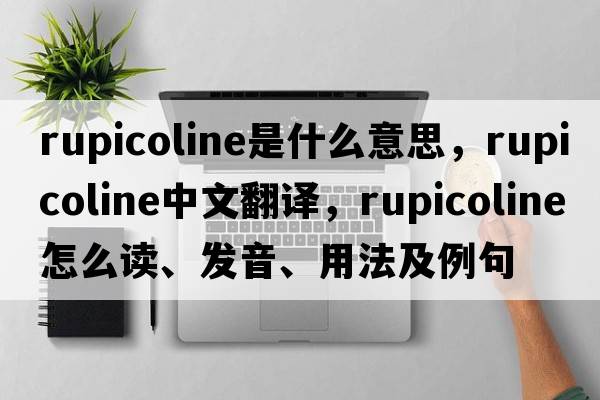 rupicoline是什么意思，rupicoline中文翻譯，rupicoline怎么讀、發(fā)音、用法及例句