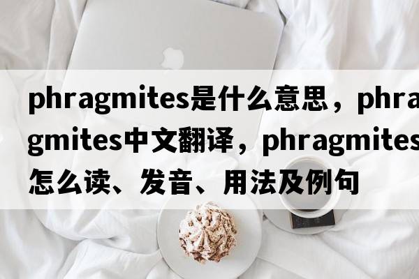 Phragmites是什么意思，Phragmites中文翻譯，Phragmites怎么讀、發(fā)音、用法及例句