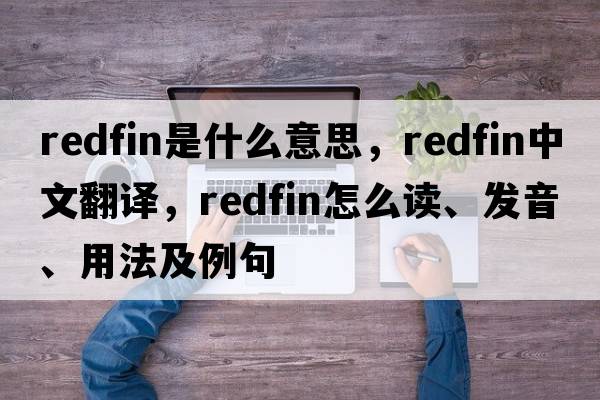 redfin是什么意思，redfin中文翻譯，redfin怎么讀、發(fā)音、用法及例句