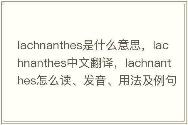 Lachnanthes是什么意思，Lachnanthes中文翻譯，Lachnanthes怎么讀、發(fā)音、用法及例句