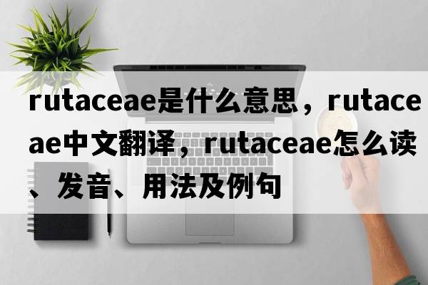 Rutaceae是什么意思，Rutaceae中文翻譯，Rutaceae怎么讀、發(fā)音、用法及例句