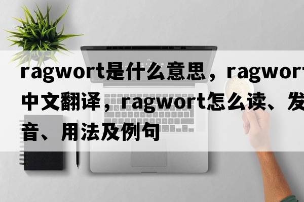ragwort是什么意思，ragwort中文翻譯，ragwort怎么讀、發(fā)音、用法及例句