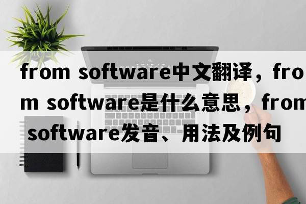 from software中文翻譯，from software是什么意思，from software發(fā)音、用法及例句