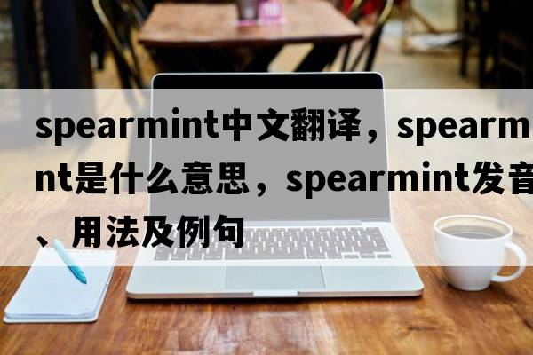 spearmint中文翻譯，spearmint是什么意思，spearmint發(fā)音、用法及例句