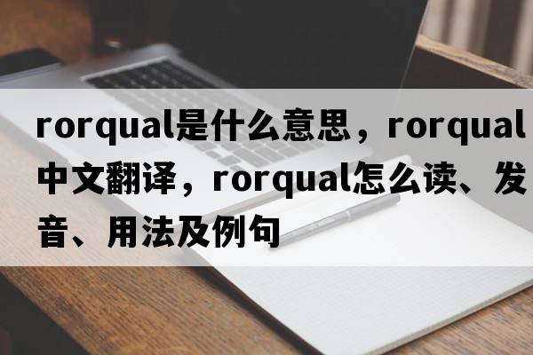 rorqual是什么意思，rorqual中文翻譯，rorqual怎么讀、發(fā)音、用法及例句