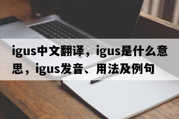 igus中文翻譯，igus是什么意思，igus發(fā)音、用法及例句