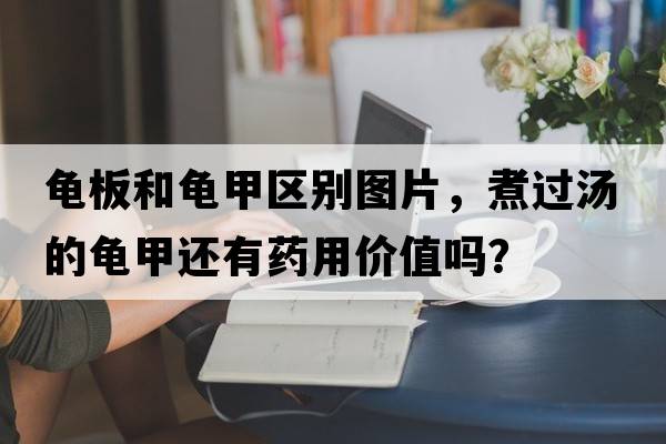 龜板和龜甲區(qū)別圖片，煮過湯的龜甲還有藥用價值嗎？