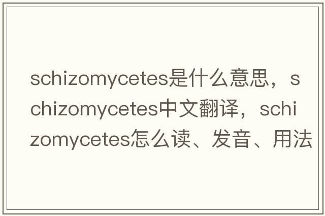schizomycetes是什么意思，schizomycetes中文翻譯，schizomycetes怎么讀、發(fā)音、用法及例句