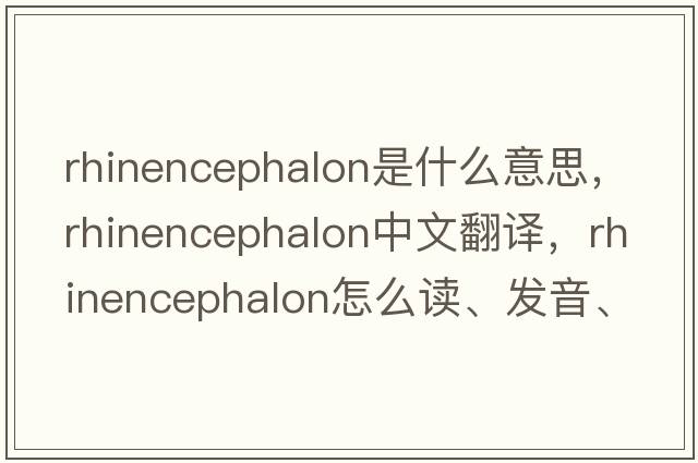 rhinencephalon是什么意思，rhinencephalon中文翻譯，rhinencephalon怎么讀、發(fā)音、用法及例句