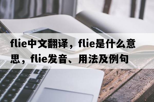 flie中文翻譯，flie是什么意思，flie發(fā)音、用法及例句