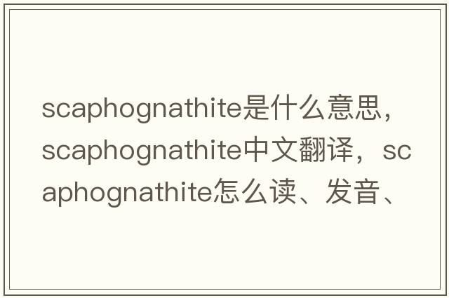 scaphognathite是什么意思，scaphognathite中文翻譯，scaphognathite怎么讀、發(fā)音、用法及例句