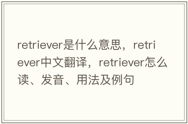 retriever是什么意思，retriever中文翻譯，retriever怎么讀、發(fā)音、用法及例句