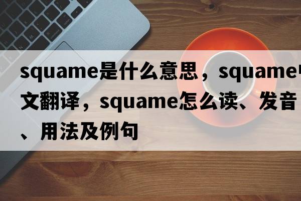 squame是什么意思，squame中文翻譯，squame怎么讀、發(fā)音、用法及例句