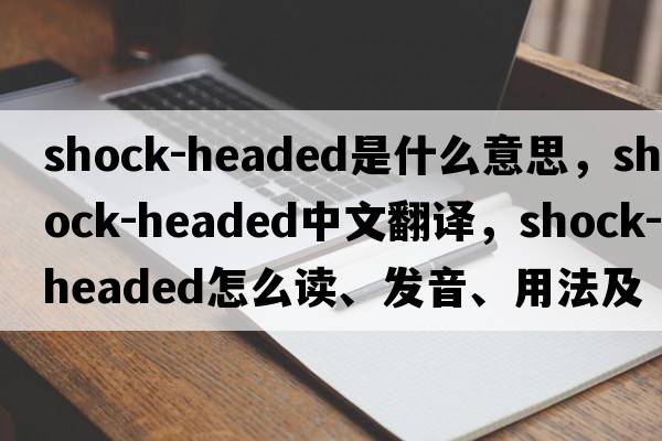 shock-headed是什么意思，shock-headed中文翻譯，shock-headed怎么讀、發(fā)音、用法及例句