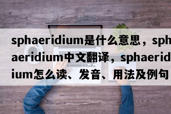 sphaeridium是什么意思，sphaeridium中文翻譯，sphaeridium怎么讀、發(fā)音、用法及例句