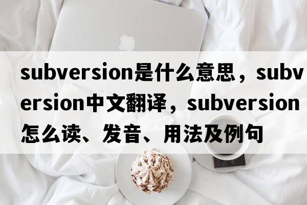 subversion是什么意思，subversion中文翻譯，subversion怎么讀、發(fā)音、用法及例句