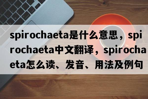 spirochaeta是什么意思，spirochaeta中文翻譯，spirochaeta怎么讀、發(fā)音、用法及例句