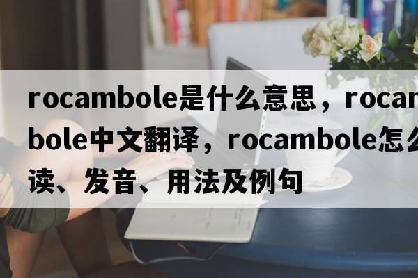 rocambole是什么意思，rocambole中文翻譯，rocambole怎么讀、發(fā)音、用法及例句