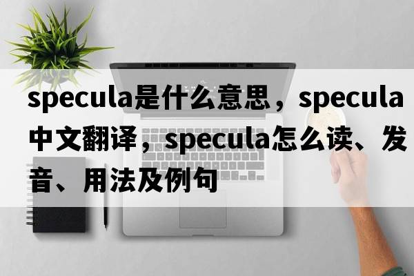 specula是什么意思，specula中文翻譯，specula怎么讀、發(fā)音、用法及例句