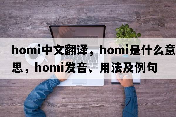 homi中文翻譯，homi是什么意思，homi發(fā)音、用法及例句