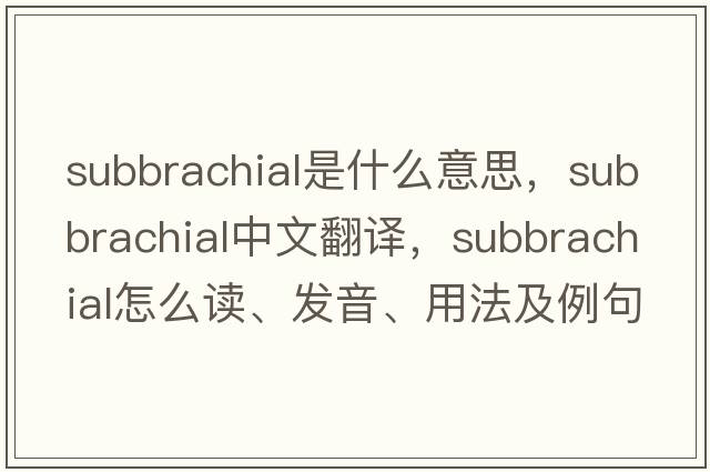 subbrachial是什么意思，subbrachial中文翻譯，subbrachial怎么讀、發(fā)音、用法及例句