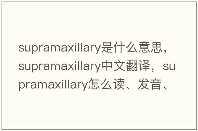 supramaxillary是什么意思，supramaxillary中文翻譯，supramaxillary怎么讀、發(fā)音、用法及例句