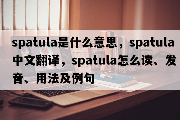 spatula是什么意思，spatula中文翻譯，spatula怎么讀、發(fā)音、用法及例句