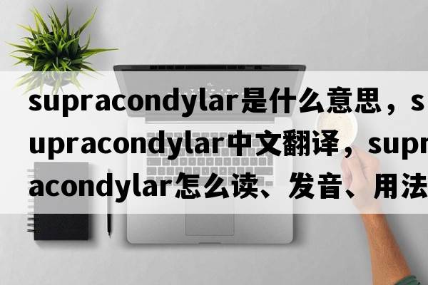 supracondylar是什么意思，supracondylar中文翻譯，supracondylar怎么讀、發(fā)音、用法及例句