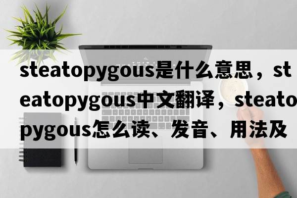 steatopygous是什么意思，steatopygous中文翻譯，steatopygous怎么讀、發(fā)音、用法及例句