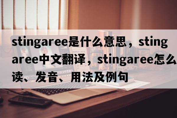 stingaree是什么意思，stingaree中文翻譯，stingaree怎么讀、發(fā)音、用法及例句