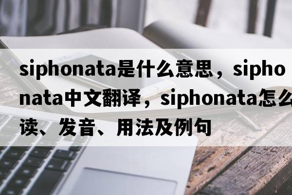 siphonata是什么意思，siphonata中文翻譯，siphonata怎么讀、發(fā)音、用法及例句