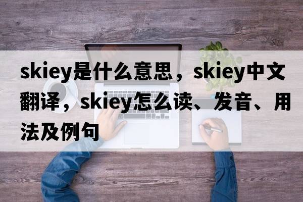 skiey是什么意思，skiey中文翻譯，skiey怎么讀、發(fā)音、用法及例句
