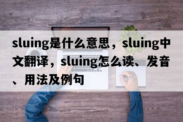 sluing是什么意思，sluing中文翻譯，sluing怎么讀、發(fā)音、用法及例句