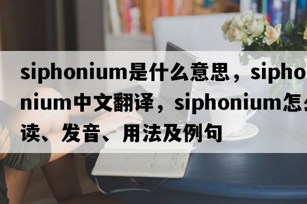 siphonium是什么意思，siphonium中文翻譯，siphonium怎么讀、發(fā)音、用法及例句