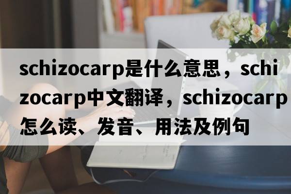 schizocarp是什么意思，schizocarp中文翻譯，schizocarp怎么讀、發(fā)音、用法及例句
