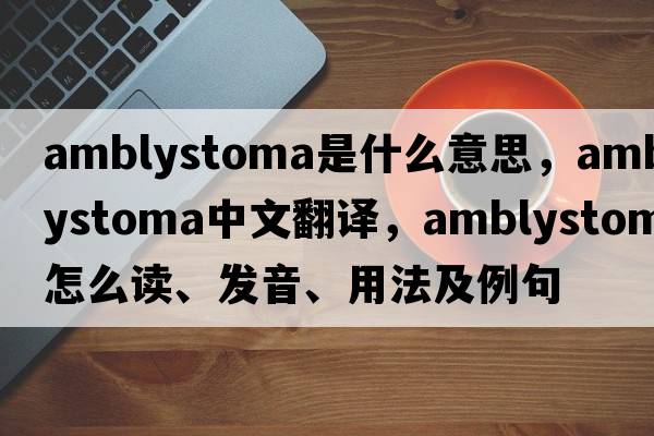 Amblystoma是什么意思，Amblystoma中文翻譯，Amblystoma怎么讀、發(fā)音、用法及例句