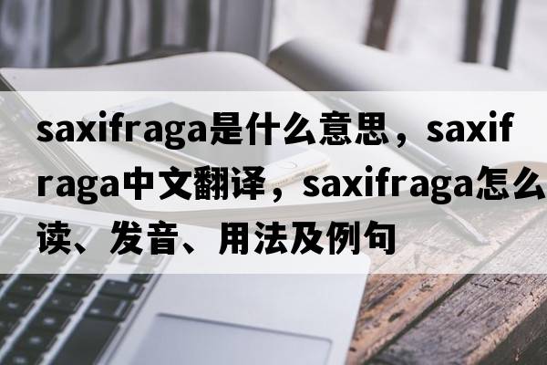 saxifraga是什么意思，saxifraga中文翻譯，saxifraga怎么讀、發(fā)音、用法及例句