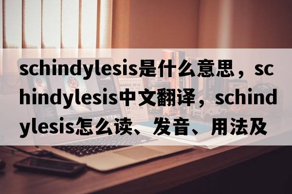 schindylesis是什么意思，schindylesis中文翻譯，schindylesis怎么讀、發(fā)音、用法及例句